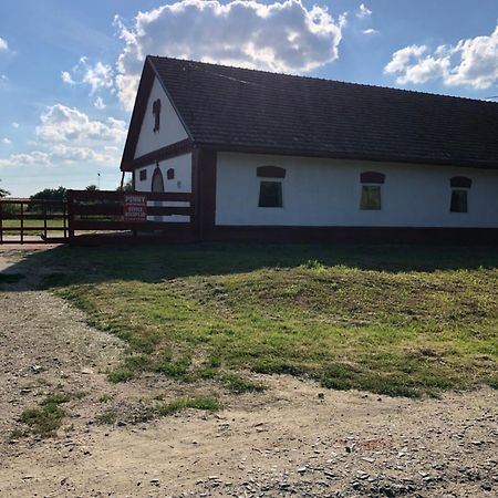 Penni Panzio Kaposvar- Repaspuszta Kaposvár Exterior foto